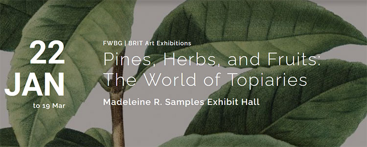 Pines, Herbs, and Fruits: The World of Topiaries